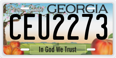 GA license plate CEU2273