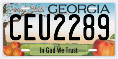 GA license plate CEU2289