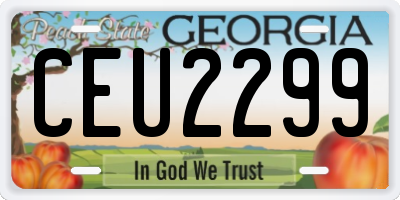 GA license plate CEU2299
