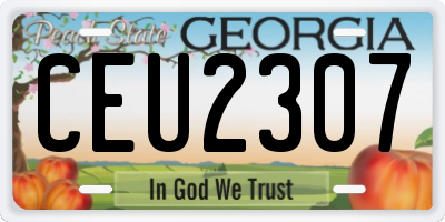 GA license plate CEU2307