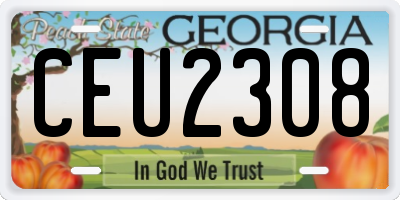 GA license plate CEU2308