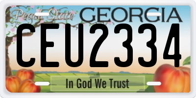 GA license plate CEU2334