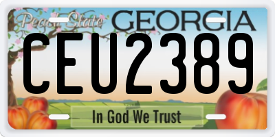GA license plate CEU2389
