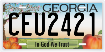 GA license plate CEU2421