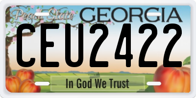 GA license plate CEU2422