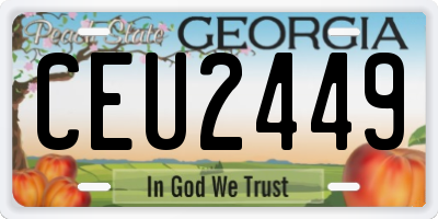 GA license plate CEU2449