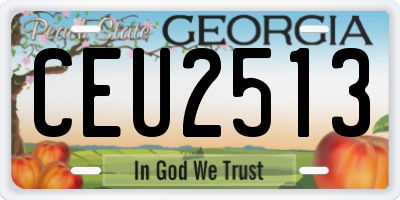 GA license plate CEU2513