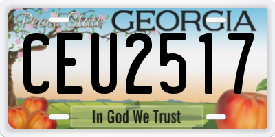 GA license plate CEU2517