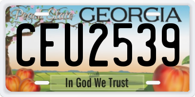 GA license plate CEU2539