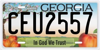 GA license plate CEU2557