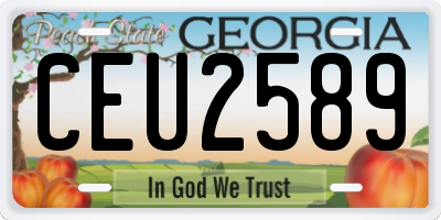 GA license plate CEU2589