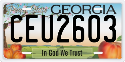 GA license plate CEU2603