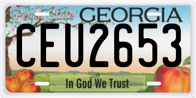 GA license plate CEU2653