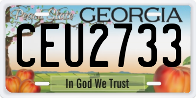 GA license plate CEU2733