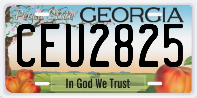 GA license plate CEU2825