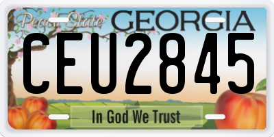 GA license plate CEU2845