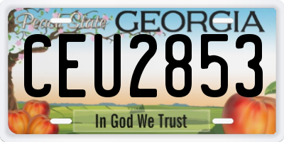 GA license plate CEU2853