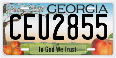 GA license plate CEU2855