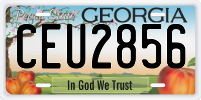 GA license plate CEU2856
