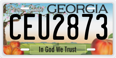 GA license plate CEU2873