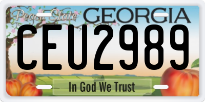 GA license plate CEU2989
