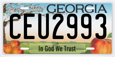 GA license plate CEU2993