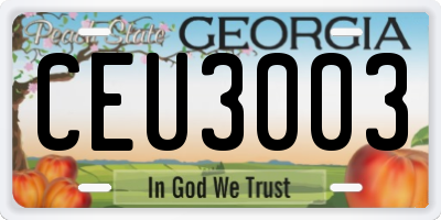 GA license plate CEU3003