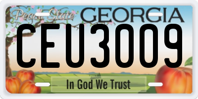 GA license plate CEU3009