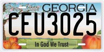 GA license plate CEU3025