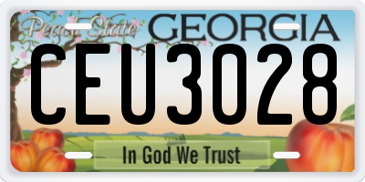 GA license plate CEU3028