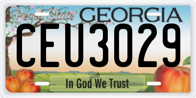 GA license plate CEU3029