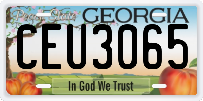 GA license plate CEU3065