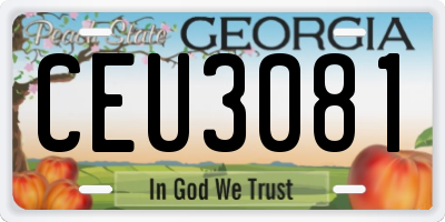 GA license plate CEU3081
