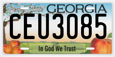 GA license plate CEU3085
