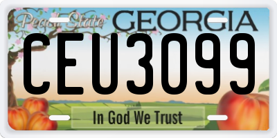 GA license plate CEU3099