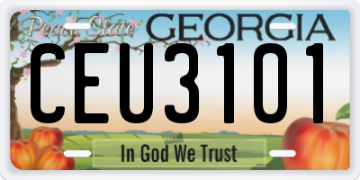 GA license plate CEU3101