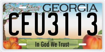 GA license plate CEU3113