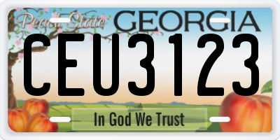 GA license plate CEU3123