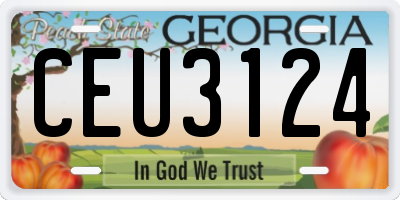 GA license plate CEU3124