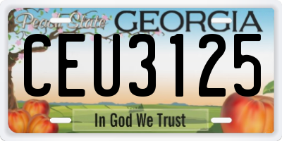 GA license plate CEU3125