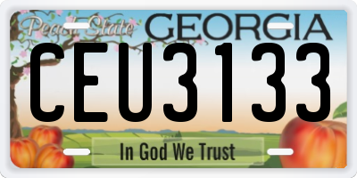 GA license plate CEU3133