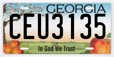 GA license plate CEU3135