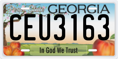 GA license plate CEU3163