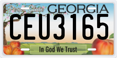 GA license plate CEU3165