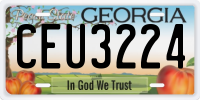GA license plate CEU3224