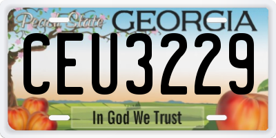 GA license plate CEU3229