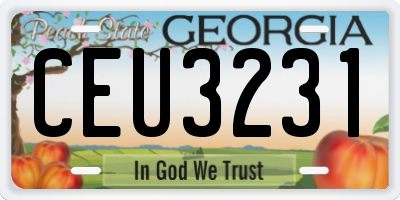 GA license plate CEU3231
