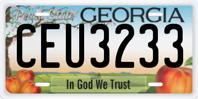 GA license plate CEU3233