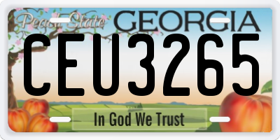 GA license plate CEU3265