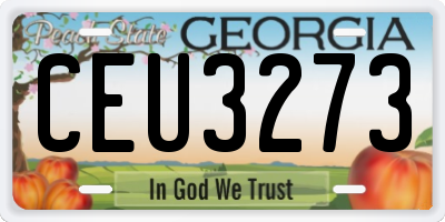 GA license plate CEU3273